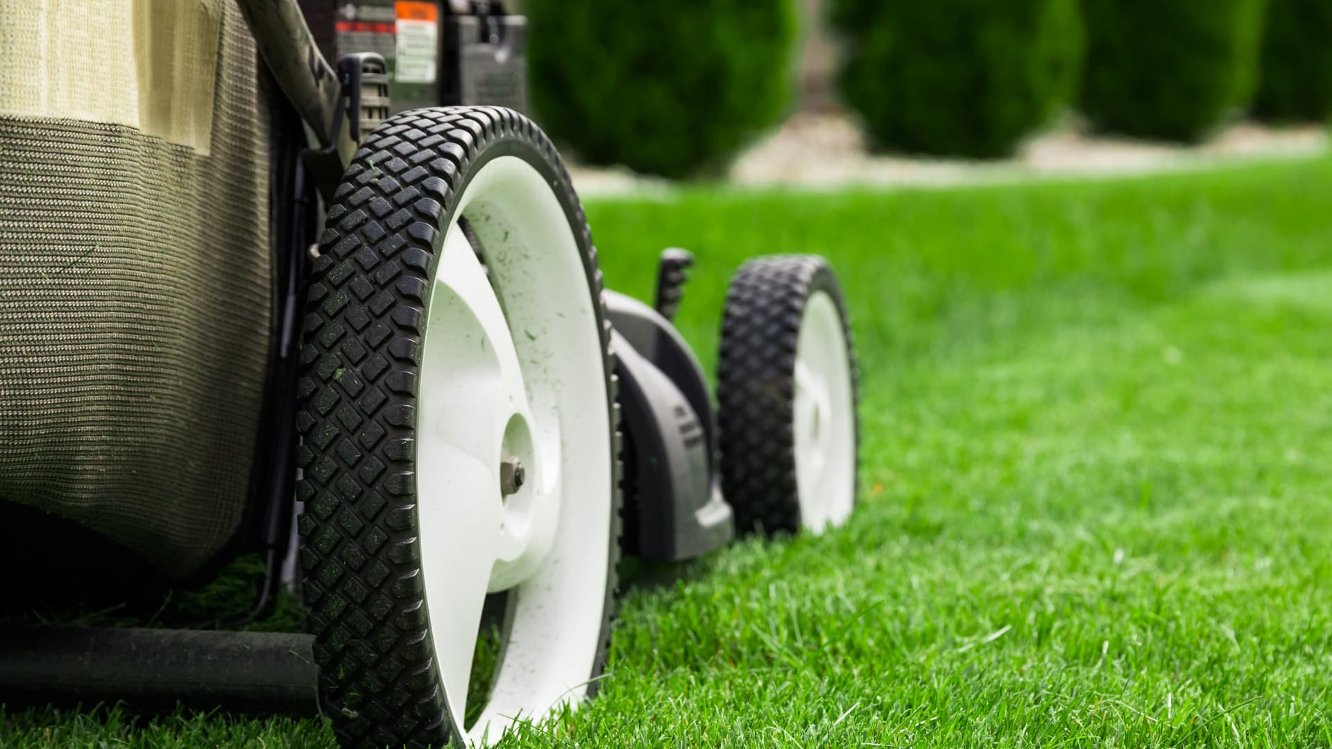 Lawn Mowing Banner Image