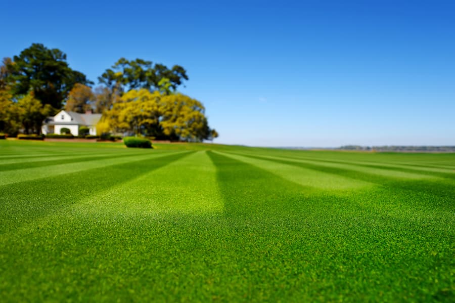 Lawn Mowing Banner Image