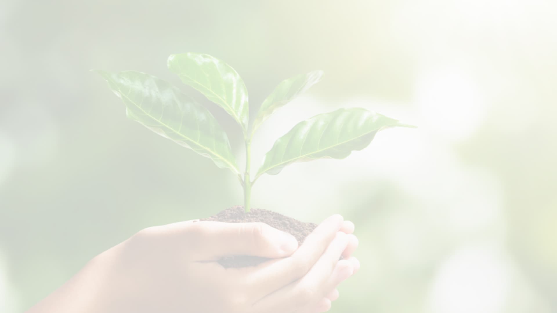 Plant Banner Image