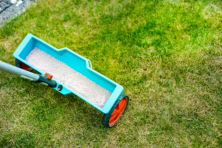 5 Reasons Lawn Fertilization is Necessary