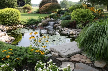 Cary, NC