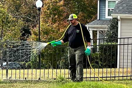 How Often Should You Fertilize Your Lawn During a North Carolina Summer?