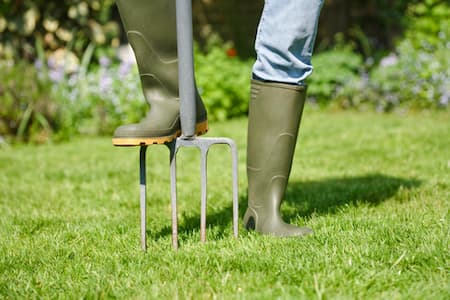 Aeration & Seeding