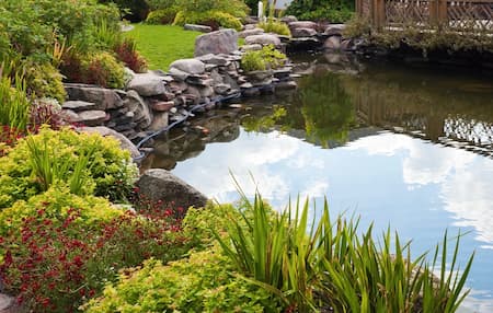 Pond & Lake Management